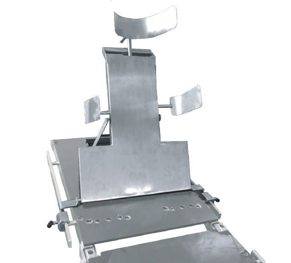 อุปกรณ์กายวิภาคศาสตร์ — Anatomy Beach Chair